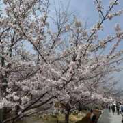 ヒメ日記 2026/04/09 12:01 投稿 朱音【あかね】 輝女