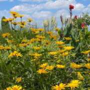 ヒメ日記 2026/04/11 22:50 投稿 朱音【あかね】 輝女