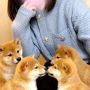 ヒメ日記 2026/03/22 08:46 投稿 りのん プロフィール 大阪店