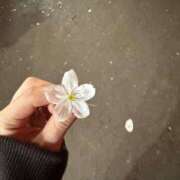 音海あかね ごめんなさい(???) 五反田 必要以上のエステ（シンデレラグループ）