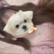 ヒメ日記 2026/03/02 19:56 投稿 すみれ スピードエコ梅田店