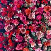 ヒメ日記 2026/04/21 12:07 投稿 すみれ スピードエコ梅田店