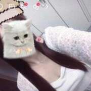 ヒメ日記 2026/06/12 10:51 投稿 すみれ スピードエコ梅田店