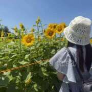 ヒメ日記 2026/07/29 12:05 投稿 つかさ 池袋デリヘル倶楽部