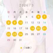 アメ 💖3月の予定💖 MEGA PALACE(メガパレス）