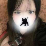 かや かやちゃん登場＼( ´･ω･`)┐しゅたっ しゃんぜりぜ