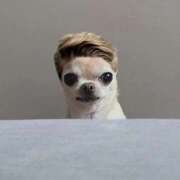 ヒメ日記 2026/03/19 10:53 投稿 いちか 横浜ハッピーマットパラダイス