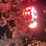 ヒメ日記 2026/03/31 00:23 投稿 いちか 横浜ハッピーマットパラダイス