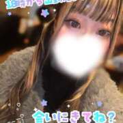 ヒメ日記 2026/01/29 10:50 投稿 キリ 飾窓