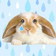 ヒメ日記 2026/03/07 10:11 投稿 翆(すい) カサブランカ福山店（カサブランカグループ）