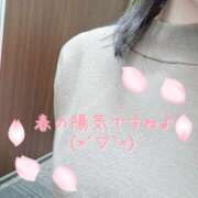 ヒメ日記 2026/03/17 15:39 投稿 翆(すい) カサブランカ福山店（カサブランカグループ）