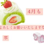 ヒメ日記 2026/04/04 11:17 投稿 翆(すい) カサブランカ福山店（カサブランカグループ）