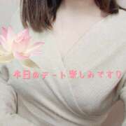 ヒメ日記 2026/04/11 10:05 投稿 翆(すい) カサブランカ福山店（カサブランカグループ）