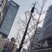 ヒメ日記 2026/03/27 20:31 投稿 かなを 奥鉄オクテツ大阪