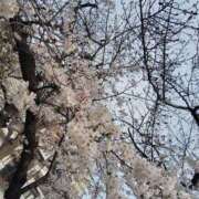 ヒメ日記 2026/03/28 16:00 投稿 かなを 奥鉄オクテツ大阪