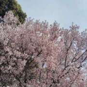 ヒメ日記 2026/03/29 08:02 投稿 かなを 奥鉄オクテツ大阪