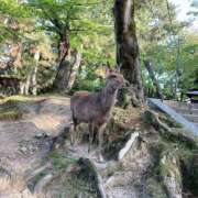 ヒメ日記 2026/04/01 13:01 投稿 かなを 奥鉄オクテツ大阪