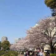 ヒメ日記 2026/03/29 20:39 投稿 るあん デザインプリズム新宿