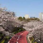 ヒメ日記 2026/04/02 21:29 投稿 るあん デザインプリズム新宿