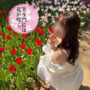 ヒメ日記 2026/01/27 12:01 投稿 えみか 赤坂添い寝女子