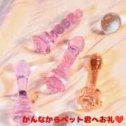 ヒメ日記 2026/04/01 20:50 投稿 かんな先生 IMS