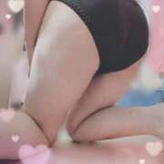 ヒメ日記 2026/01/24 14:15 投稿 藤沢千聖（ふじさわちさと） 姫路マダム大奥