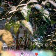 ヒメ日記 2026/02/08 03:57 投稿 あずさ 丸妻 新横浜店