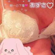 ヒメ日記 2026/02/09 05:48 投稿 あずさ 丸妻 新横浜店