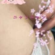 ヒメ日記 2026/02/15 11:16 投稿 あずさ 丸妻 新横浜店