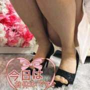 ヒメ日記 2026/02/16 10:14 投稿 あずさ 丸妻 新横浜店