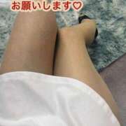 ヒメ日記 2026/02/19 10:42 投稿 あずさ 丸妻 新横浜店