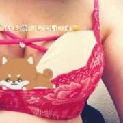 ヒメ日記 2026/03/15 11:10 投稿 あずさ 丸妻 新横浜店