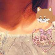 ヒメ日記 2026/03/20 18:28 投稿 あずさ 丸妻 新横浜店