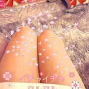 ヒメ日記 2026/03/26 10:27 投稿 あずさ 丸妻 新横浜店