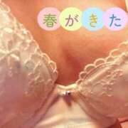 ヒメ日記 2026/03/29 09:49 投稿 あずさ 丸妻 新横浜店