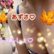 ヒメ日記 2026/10/01 09:56 投稿 あずさ 丸妻 新横浜店