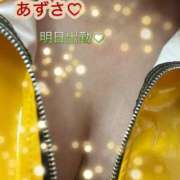 ヒメ日記 2026/10/07 05:55 投稿 あずさ 丸妻 新横浜店