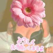 ヒメ日記 2026/01/22 17:35 投稿 ひなた 熟女の風俗最終章 錦糸町店