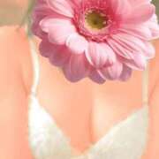 ヒメ日記 2026/01/25 07:50 投稿 ひなた 熟女の風俗最終章 錦糸町店