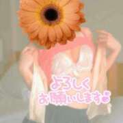 ヒメ日記 2026/01/25 14:55 投稿 ひなた 熟女の風俗最終章 錦糸町店