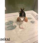 ヒメ日記 2026/03/14 12:39 投稿 せかい バカンス学園　谷九校