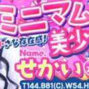ヒメ日記 2026/06/08 13:07 投稿 せかい バカンス学園　谷九校