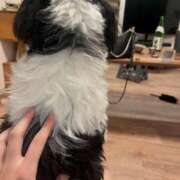 ヒメ日記 2026/02/16 01:50 投稿 のんのん まだ舐めたくて学園渋谷校〜舐めたくてグループ〜