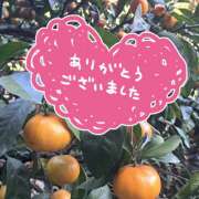 ヒメ日記 2026/01/26 13:35 投稿 あおい サマンサ 堺店