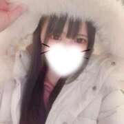 ヒメ日記 2026/02/06 02:20 投稿 のんのん 君を舐めたくて学園