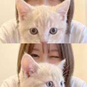 ヒメ日記 2026/09/15 13:49 投稿 姫川せな(ひめかわせな) 神戸妻キャッスル店