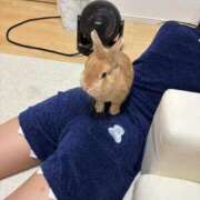 ヒメ日記 2026/04/17 12:36 投稿 なぎさ ニューティアラ