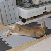 ヒメ日記 2026/04/21 10:51 投稿 なぎさ ニューティアラ