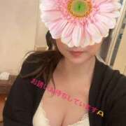 ことは 今週の出勤↓ 奥様はエンジェル　相模原店