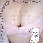 ヒメ日記 2026/02/20 20:00 投稿 さゆ モアグループ小山人妻花壇